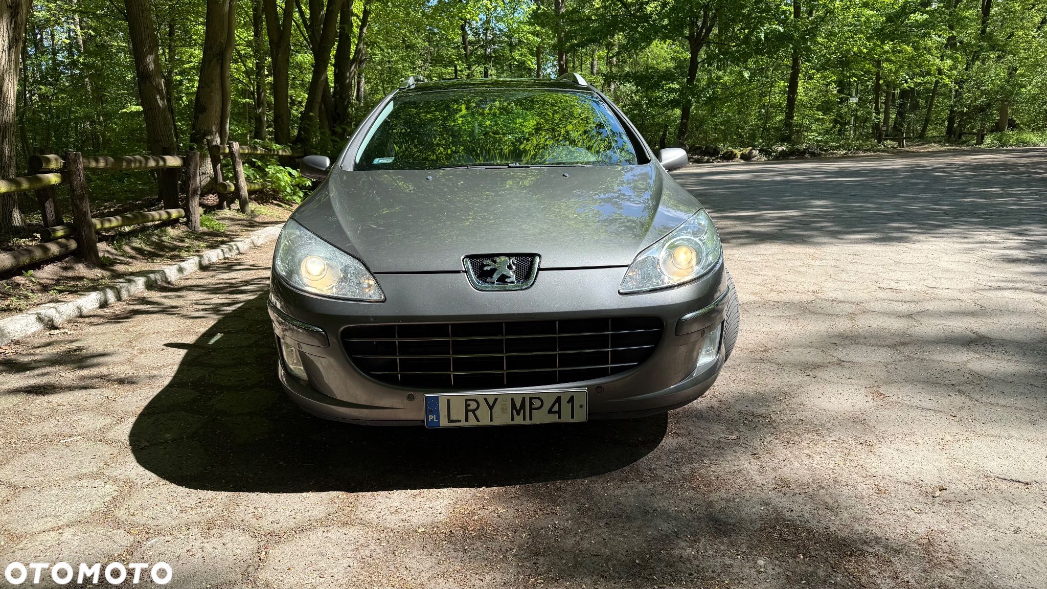Peugeot 407 SW HDi 140 Platinum - 1