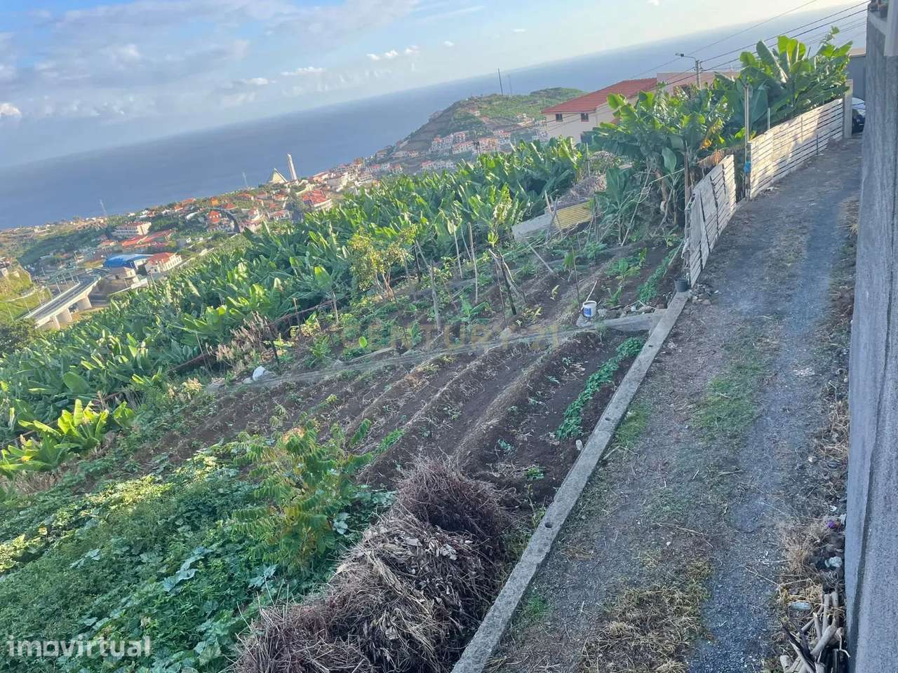 Terreno para construção, Câmara de Lobos, Ilha da Madeira - Grande imagem: 2/5