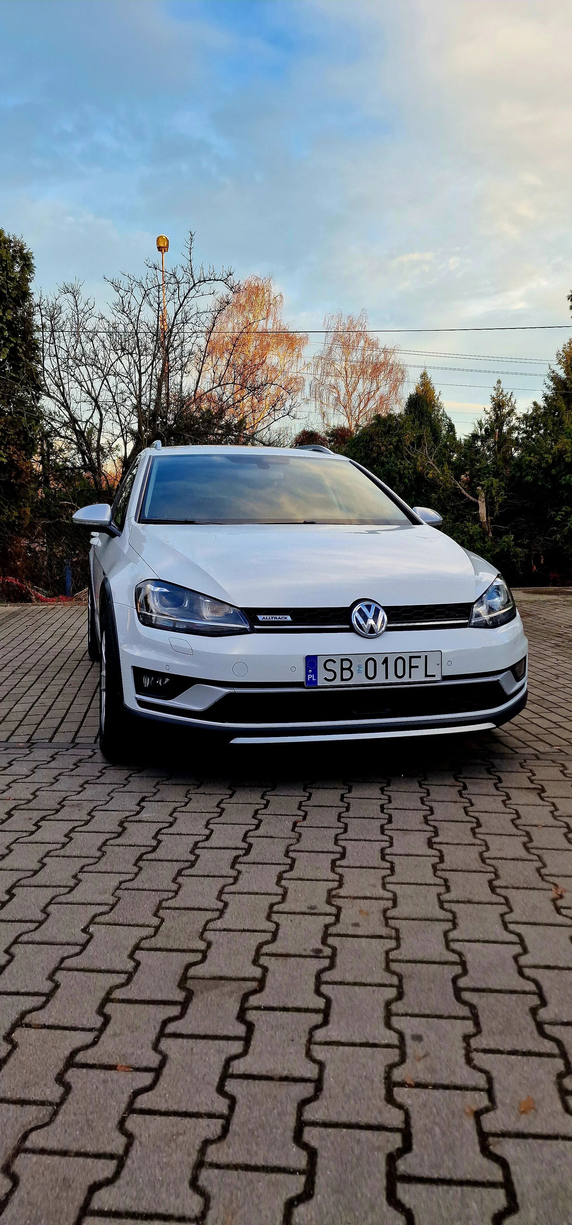 Volkswagen Golf Alltrack 2.0 TDI 4Motion (BMT) DSG - 1