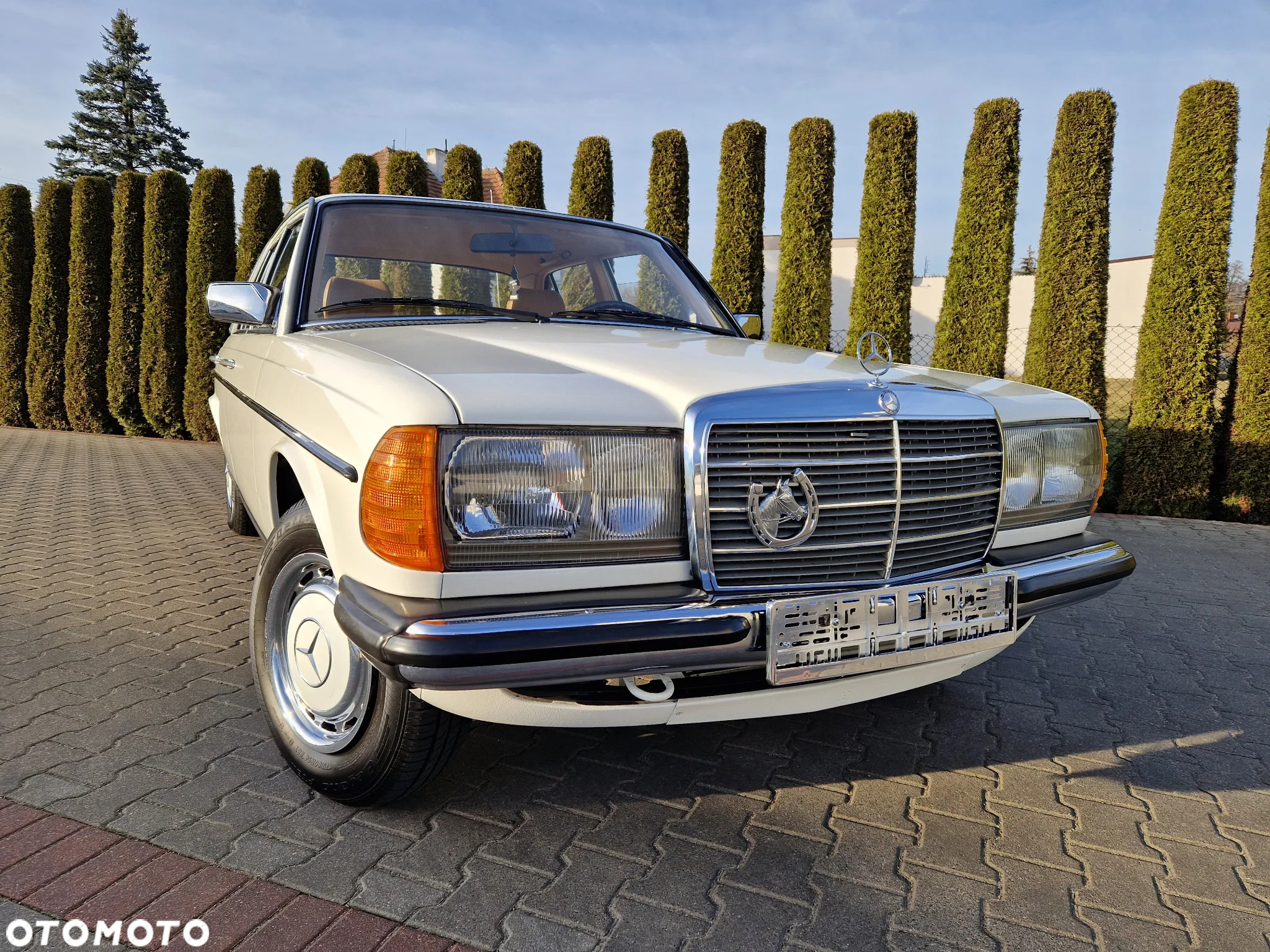Mercedes-Benz W123 - 7