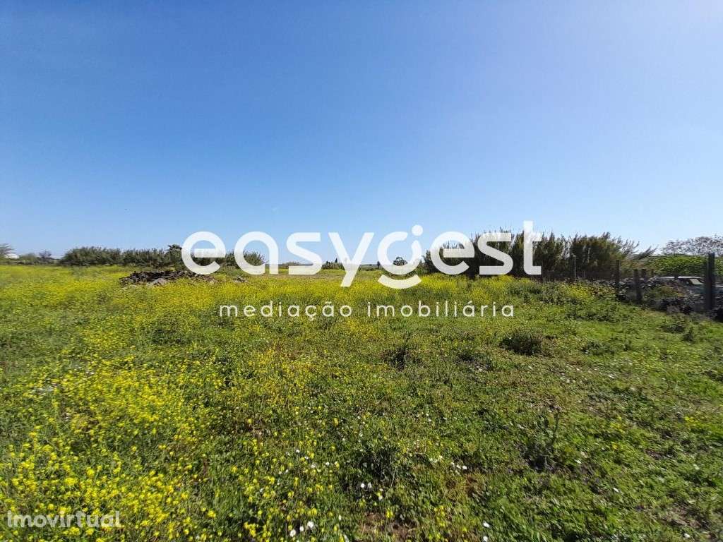 Terreno em Beja com 20.000 m2, acesso pela Estrada Nacional - Grande imagem: 4/41