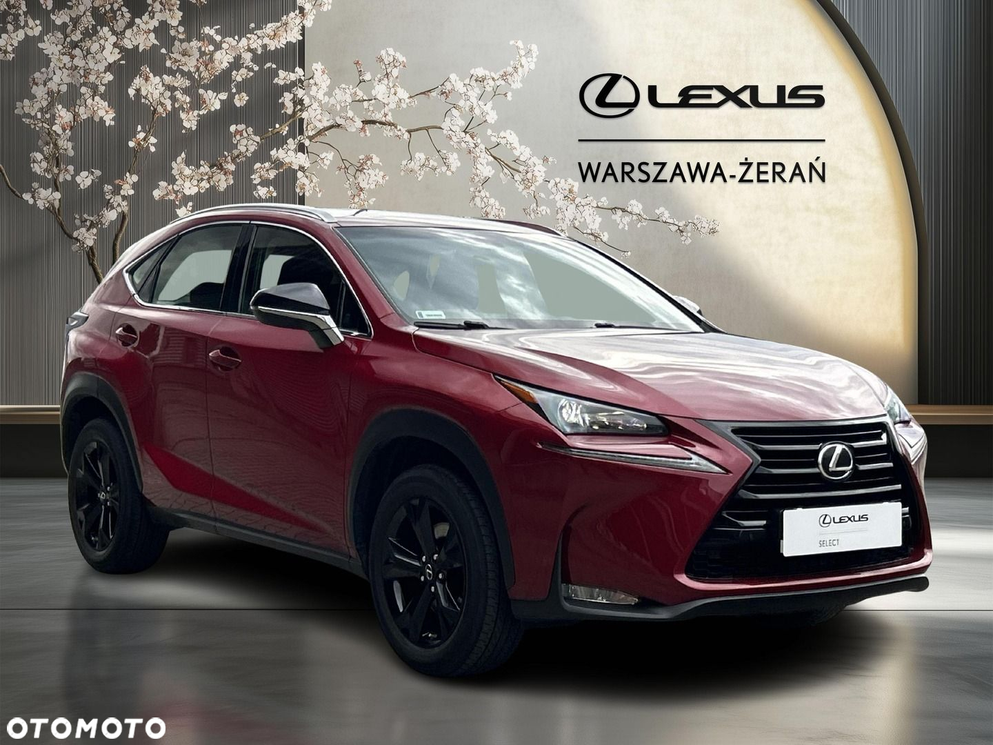 Lexus NX 200t Elite AWD - 9