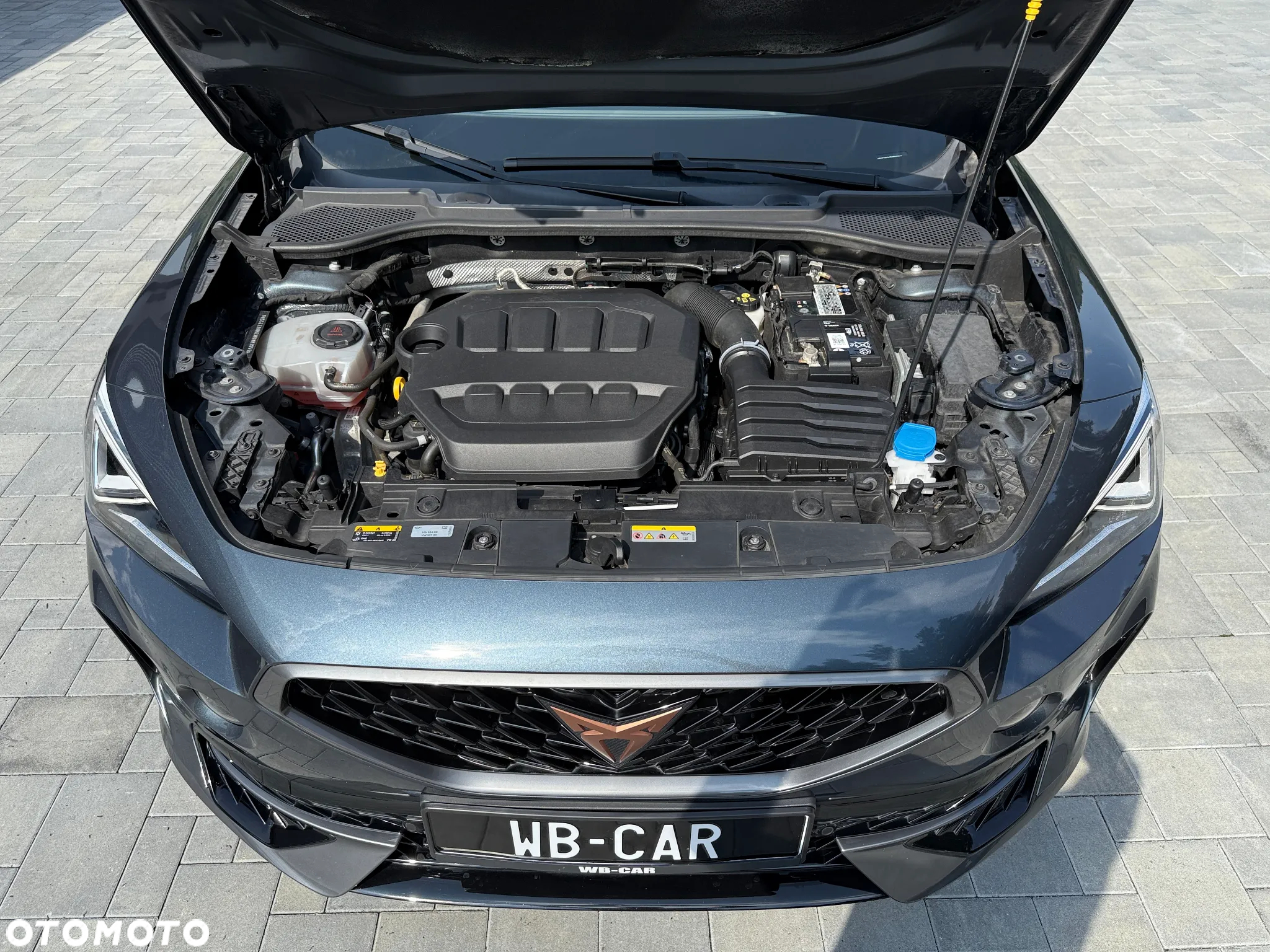 Cupra Formentor VZ 2.0 TSI 4Drive DSG - 14