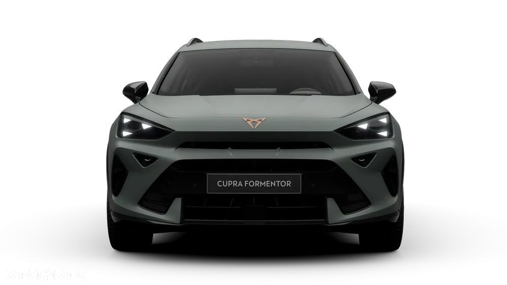 Cupra Formentor 2.0 TSI 4Drive DSG - 7