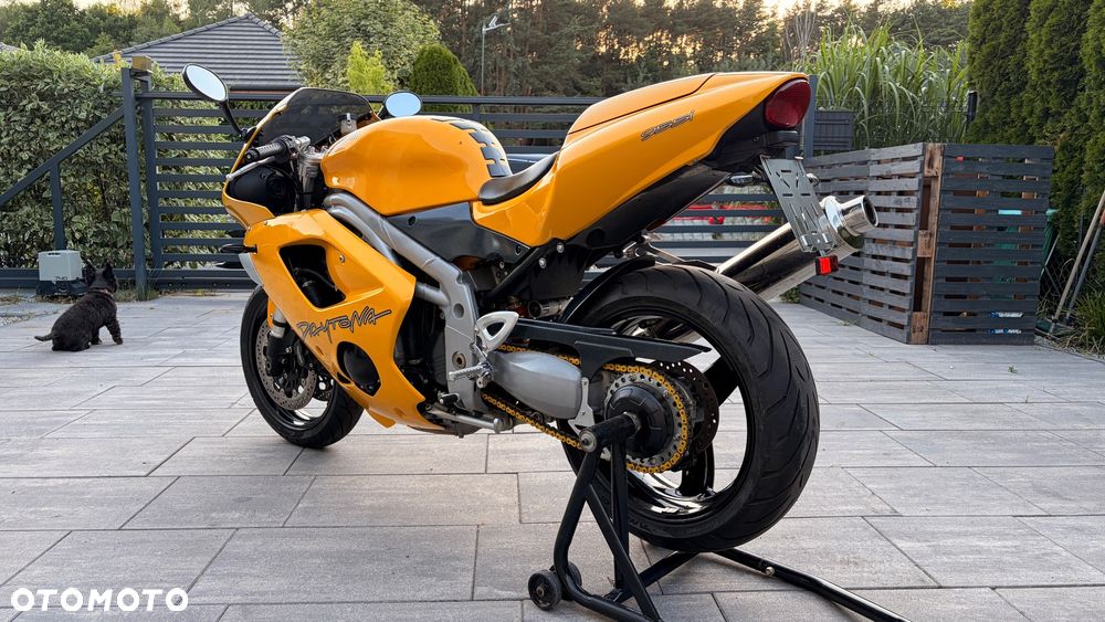 Triumph Daytona - 20