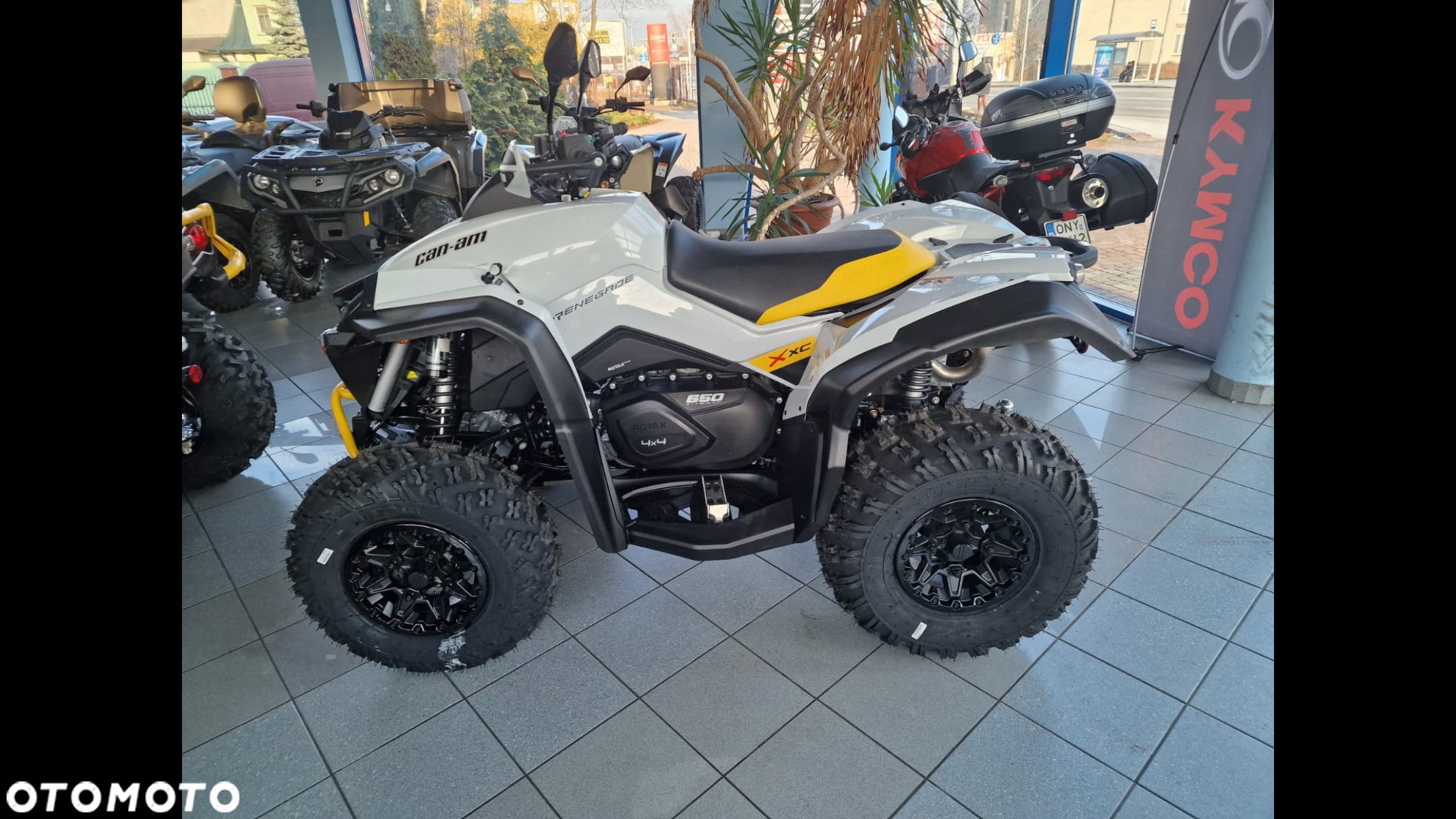 Can-Am Renegade - 4