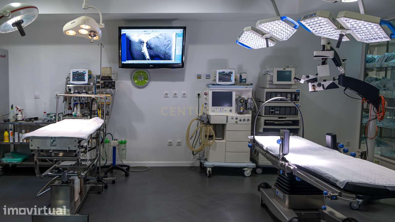 Hospital Veterinário de Referência à Venda no Centro de Santarém – Imó - Grande imagem: 5/60