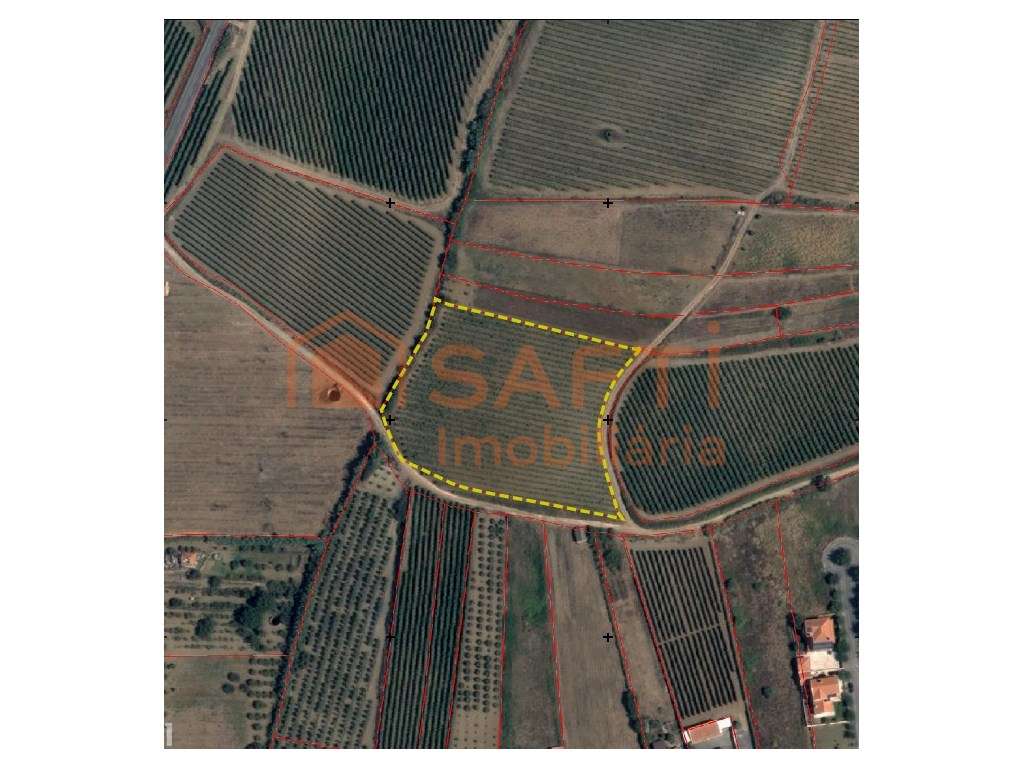 Terreno com PIP Aprovado para 6 Moradias | Turcifal, Torres Vedras - Grande imagem: 5/5