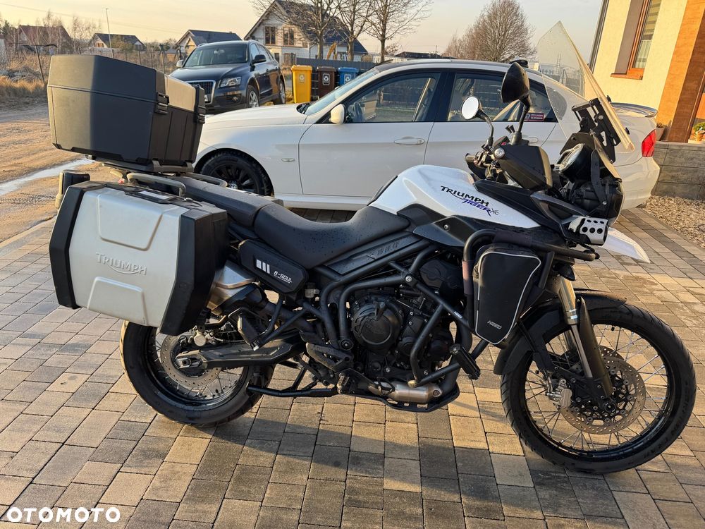 Triumph Tiger - 13