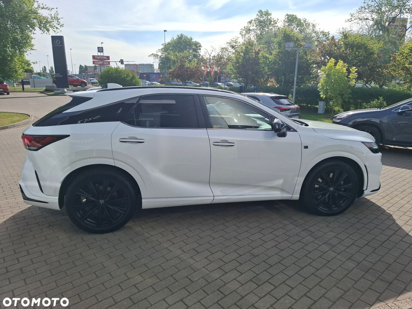 Lexus RX - 6