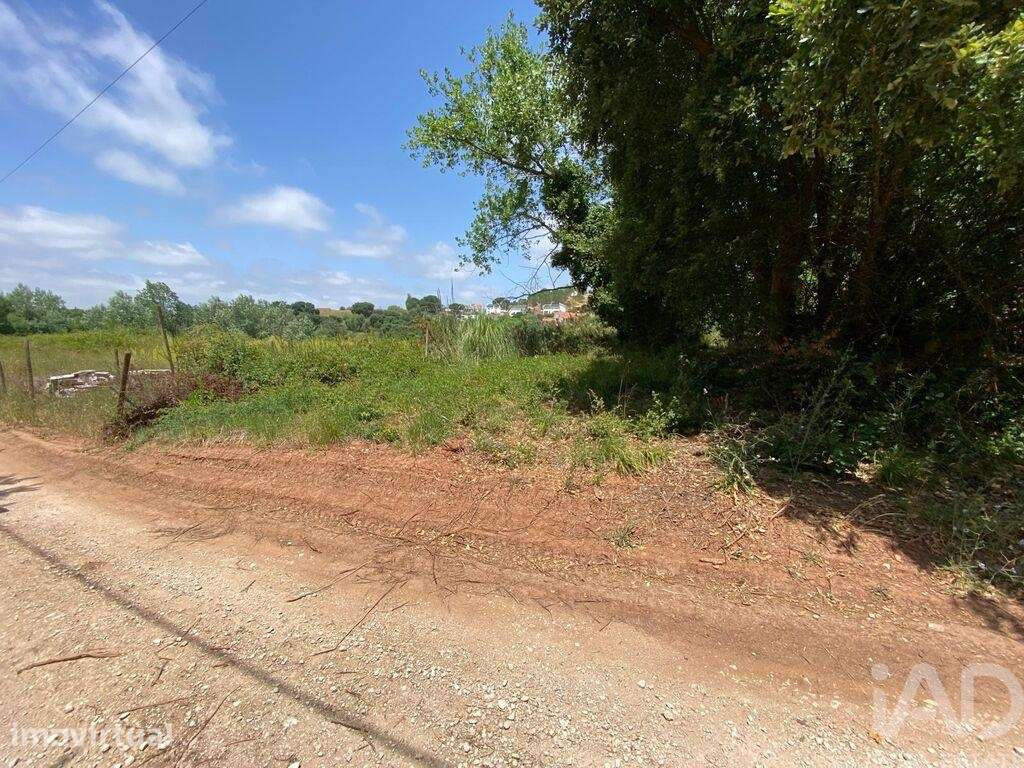 Terreno em Cadaval e Pêro Moniz de 11320,00 m2 - Grande imagem: 3/12
