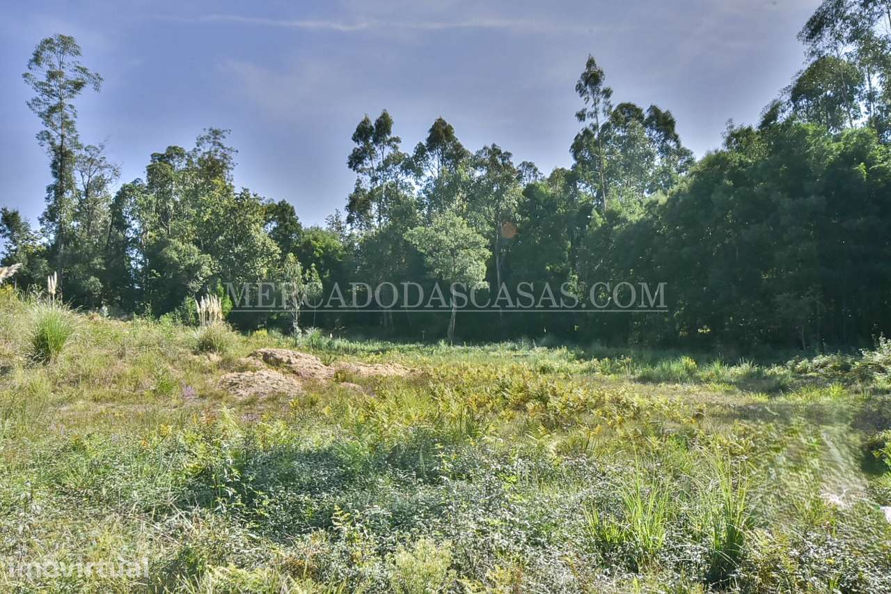 Terreno com viabilidade construtiva, Souto - Grande imagem: 4/7