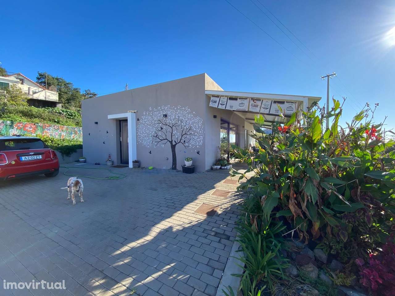 Moderna Moradia T2 com Vista Mar e Piscina na Calheta - Grande imagem: 5/18