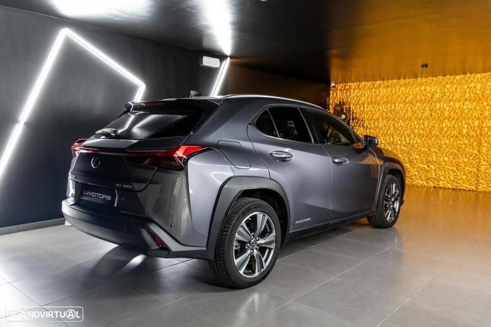 Lexus UX 300e Luxury - 19