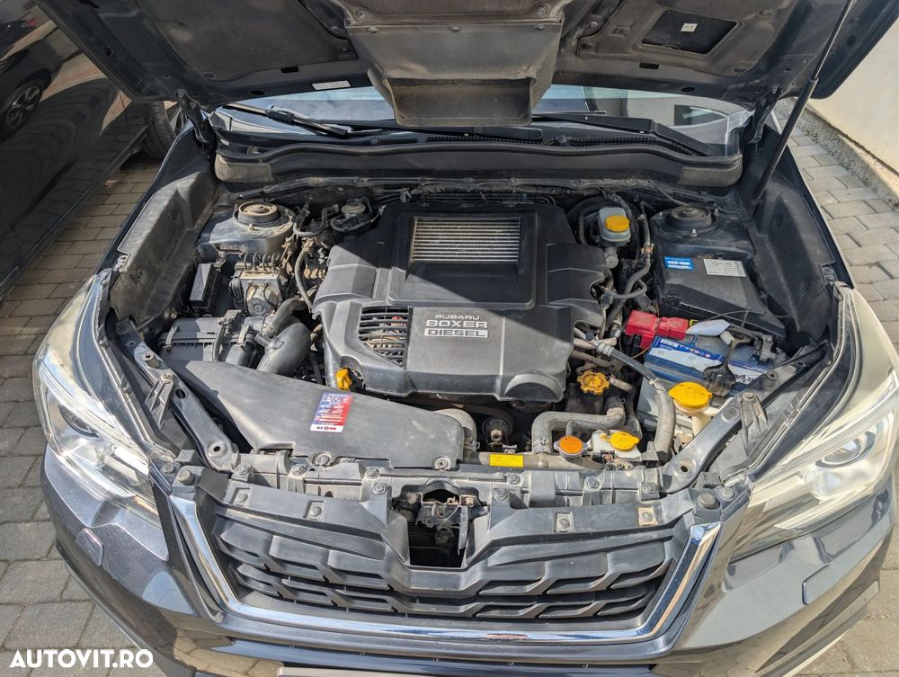 Subaru Forester - 12