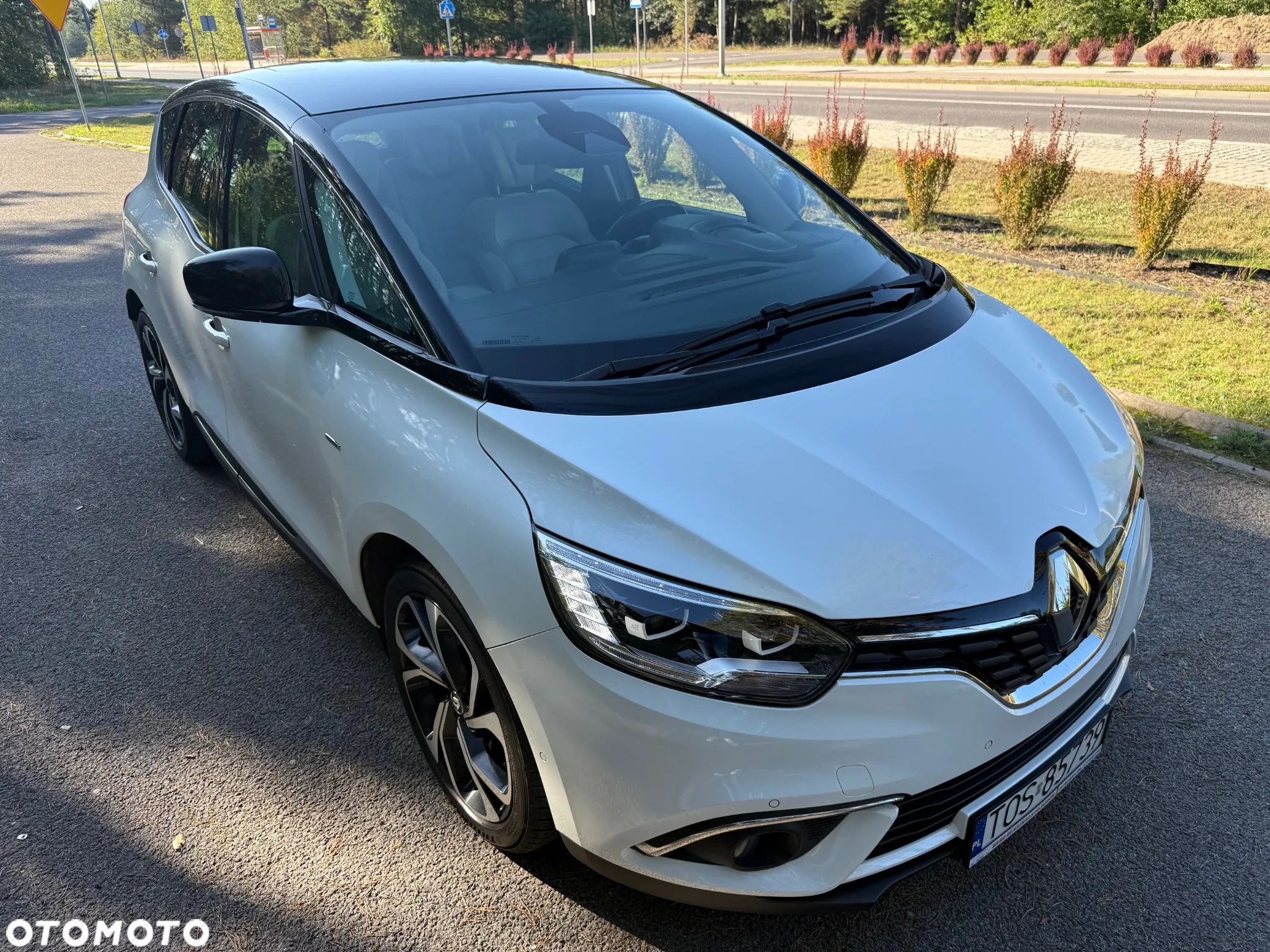 Renault Scenic - 1
