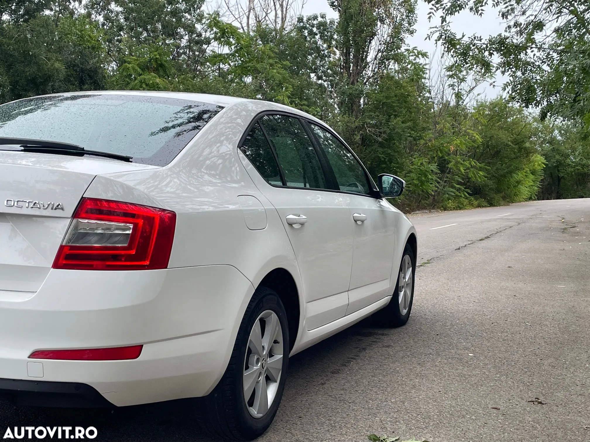 Skoda Octavia - 4