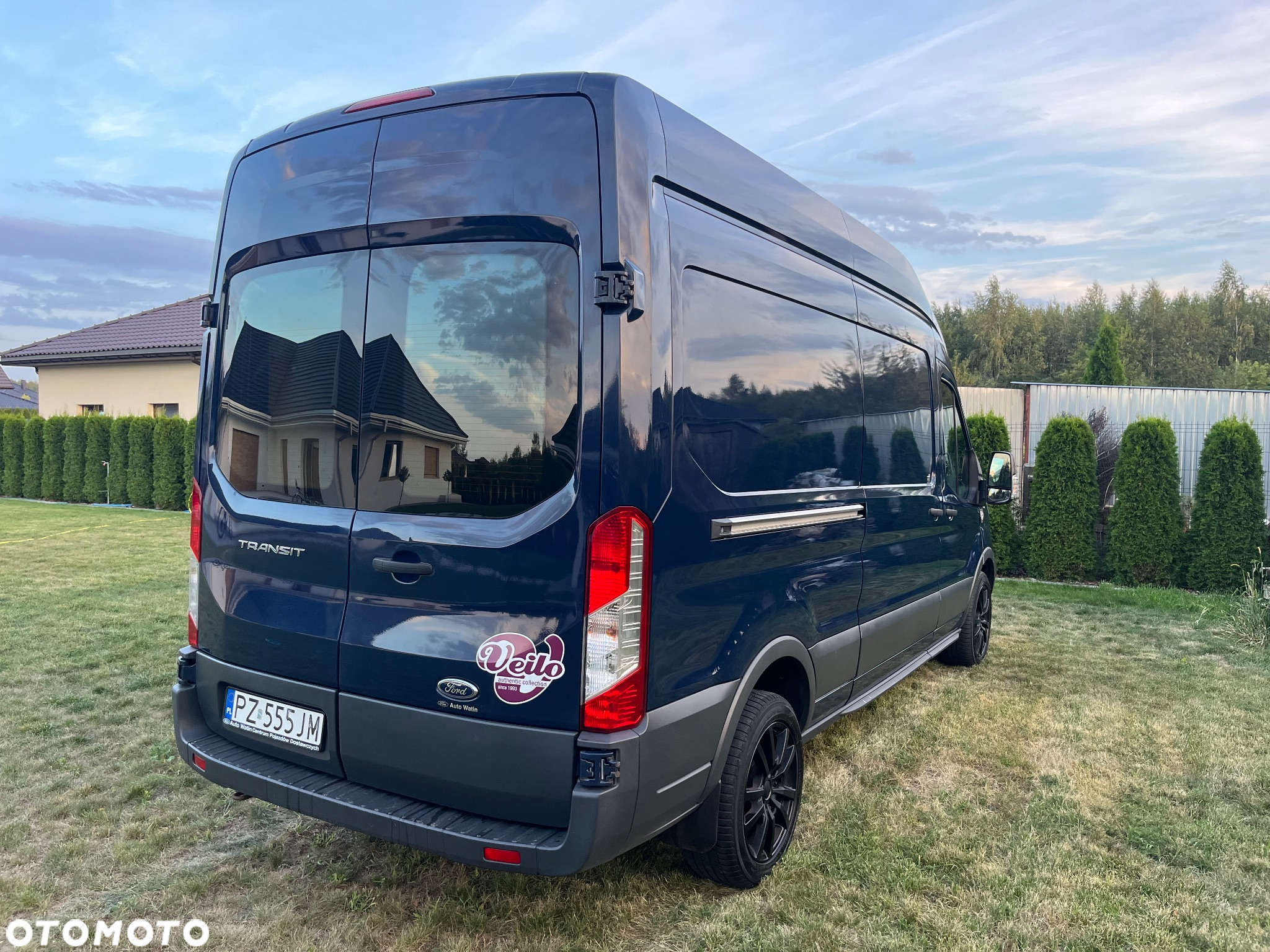 Ford Transit - 4