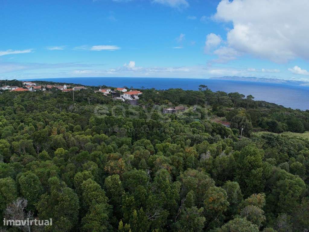 Terreno com 9.680 m² e vista para São Jorge - São Vicente, Santo An... - Grande imagem: 5/10