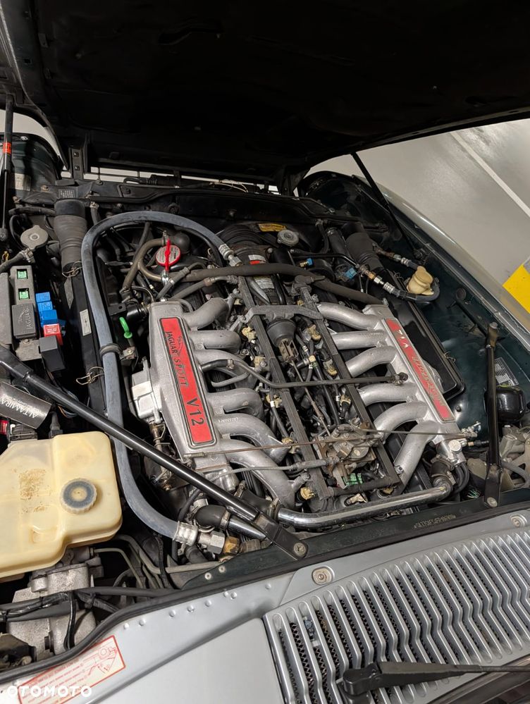 Jaguar XJS - 3