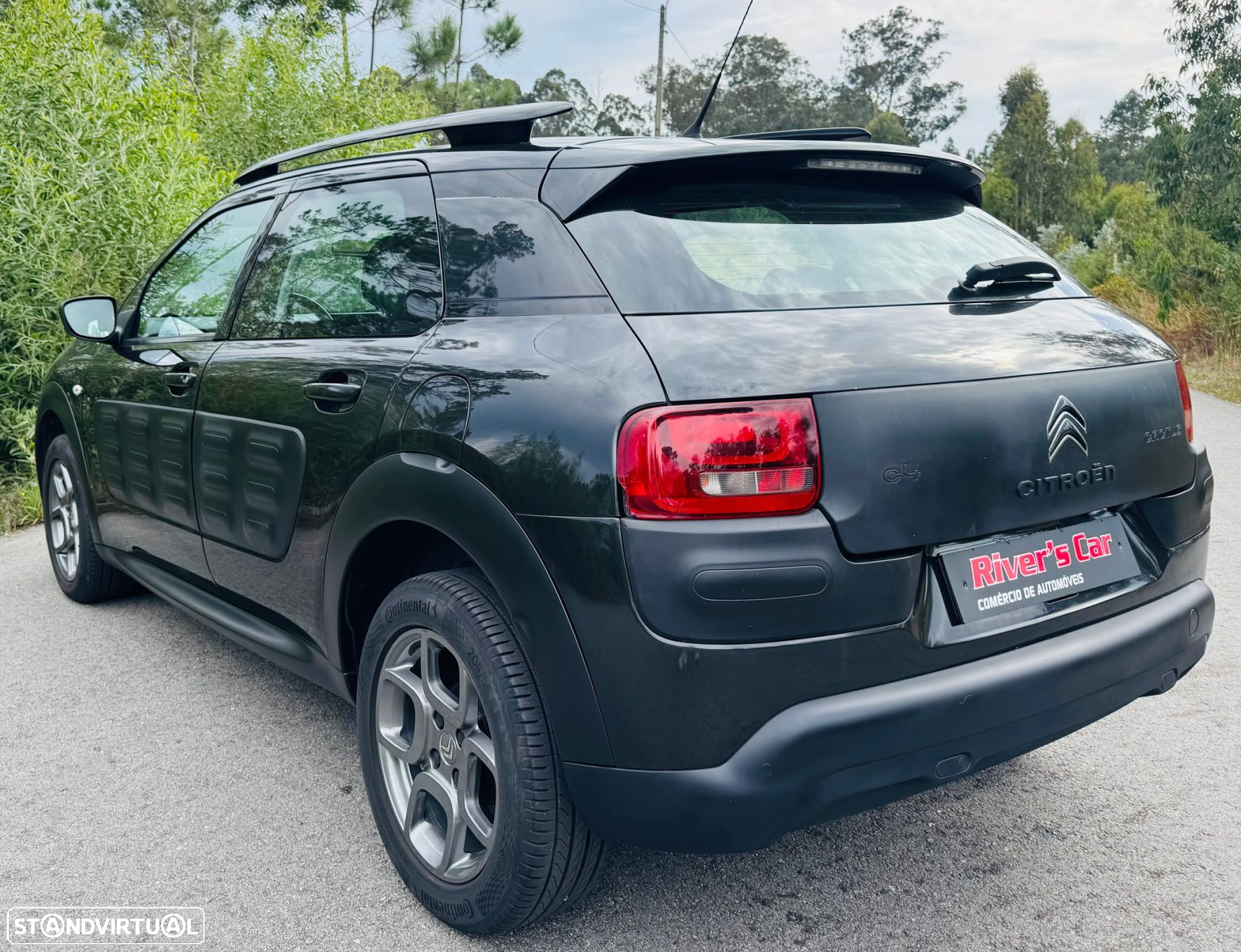 Citroën C4 Cactus 1.6 BlueHDi Shine - 13
