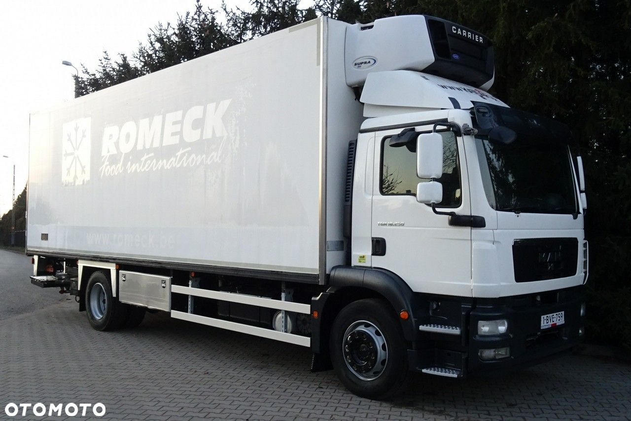 MAN TGM 18.250 Euro 5 chłodnia 20 palet winda sprowadzony - 23