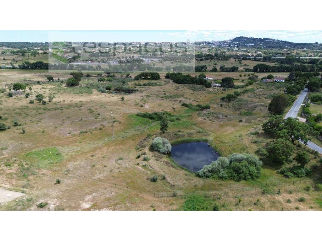 Terreno com charca a 2 km de Castelo Branco - Grande imagem: 5/14