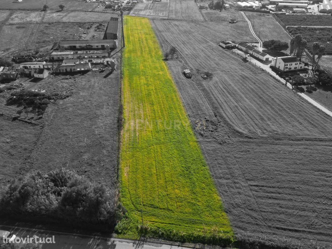 Alcochete, Estrada Real ,Terreno Rústico na com 7891m2 - Grande imagem: 2/19