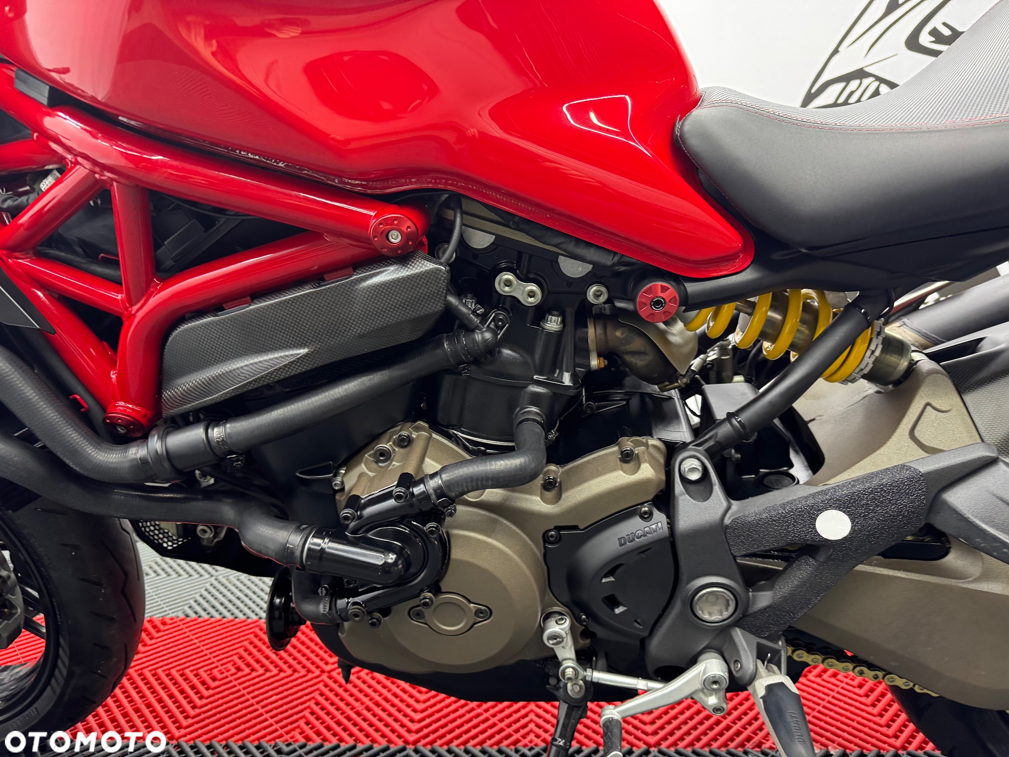 Ducati Monster - 18