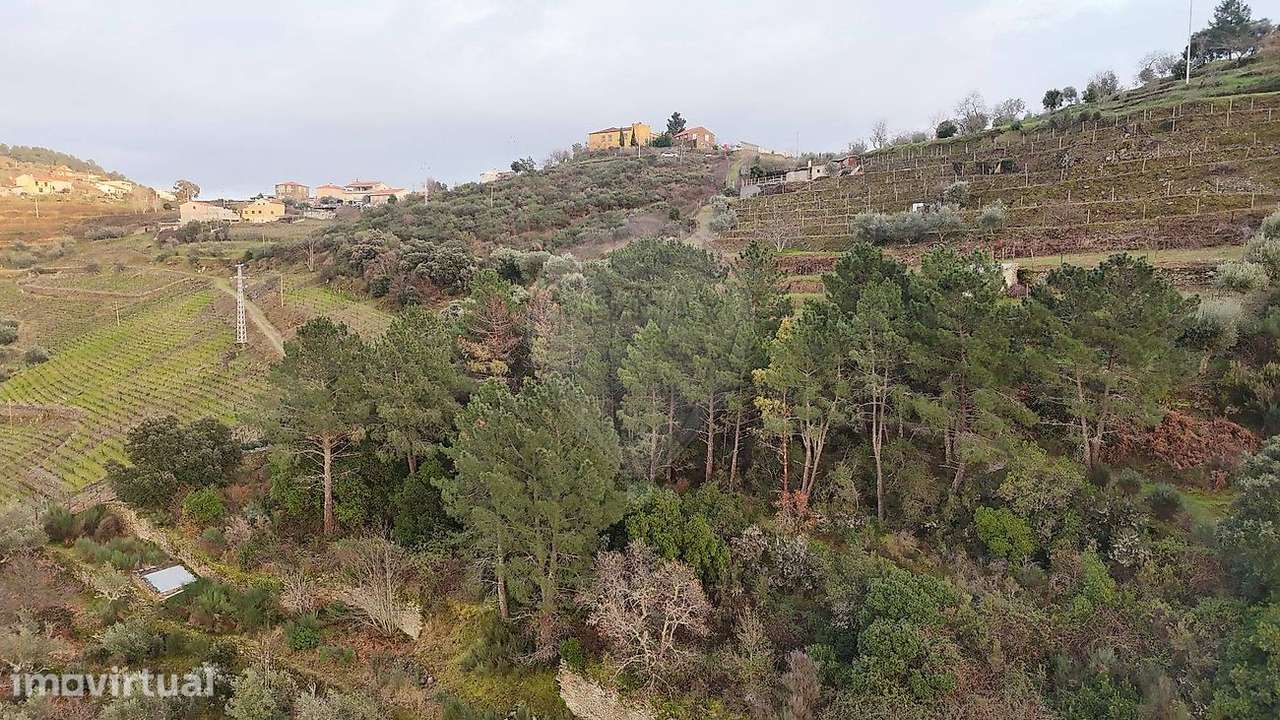 Terreno  para venda - Grande imagem: 4/6