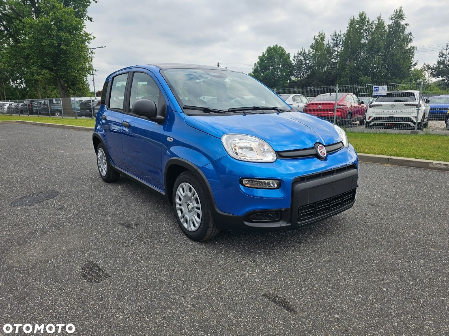 Fiat Panda - 6