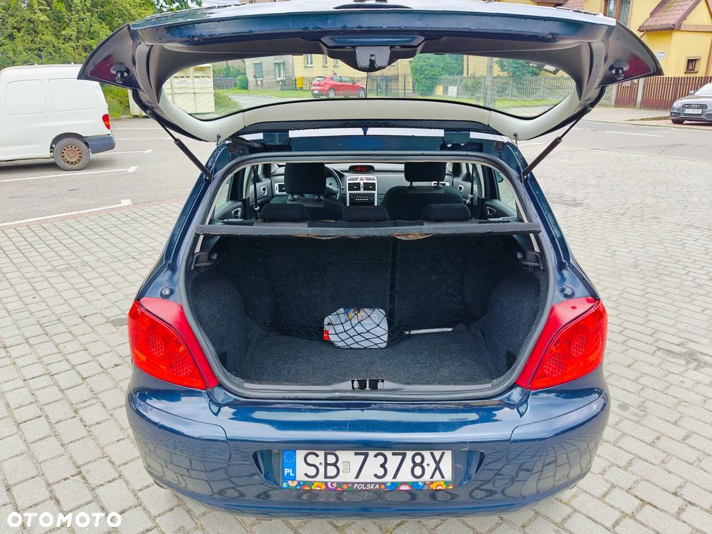 Peugeot 307 HDi 90 Grand Filou Cool - 19