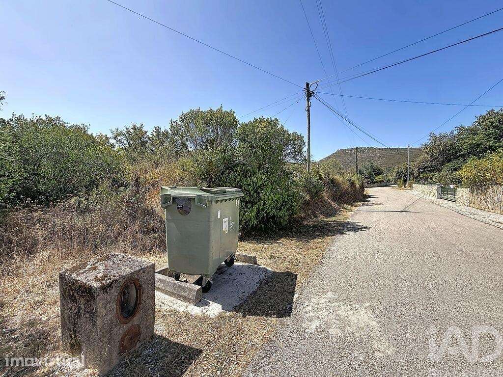 Terreno para construção em Alvados e Alcaria - Grande imagem: 3/19