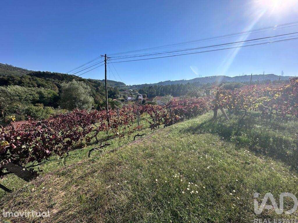 Terreno Agrícola em Fornelos e Queijada - Grande imagem: 5/10