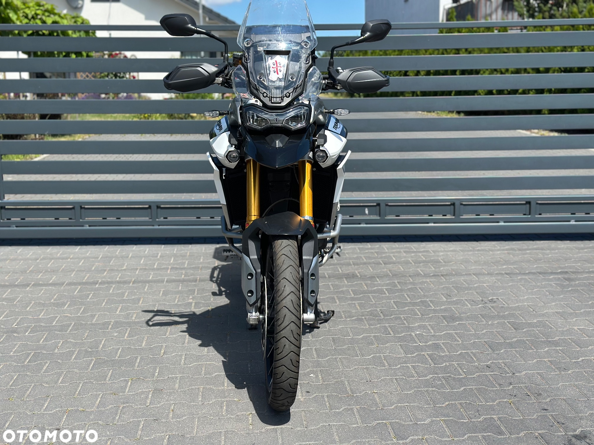 Triumph Tiger - 3