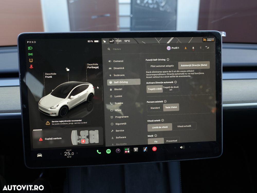Tesla Model Y Performance Dual Motor AWD - 19