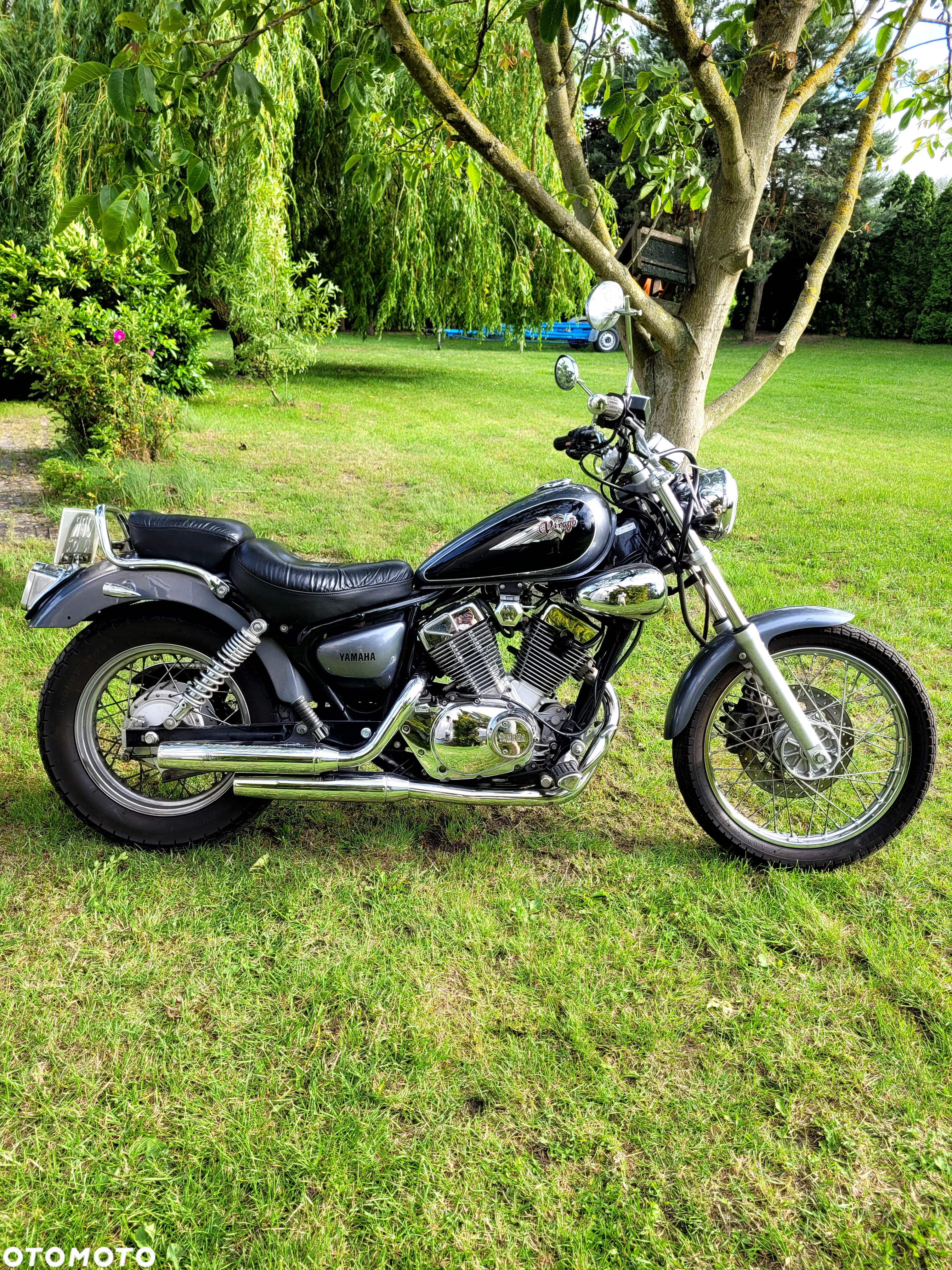 Yamaha Virago - 11