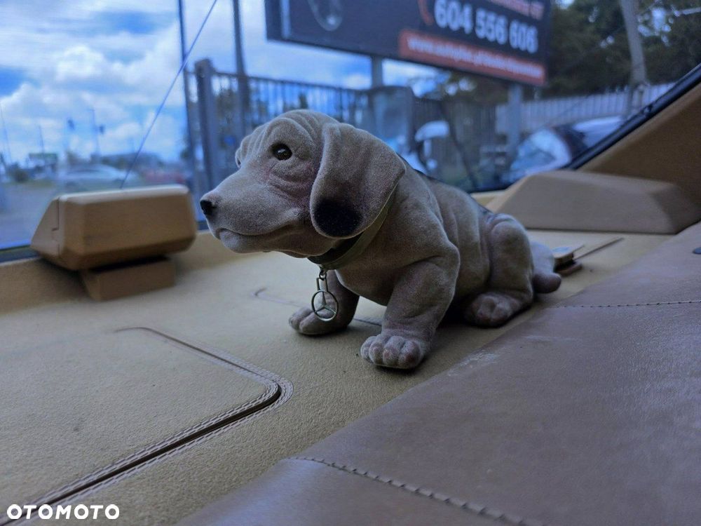 Mercedes-Benz Inny - 23