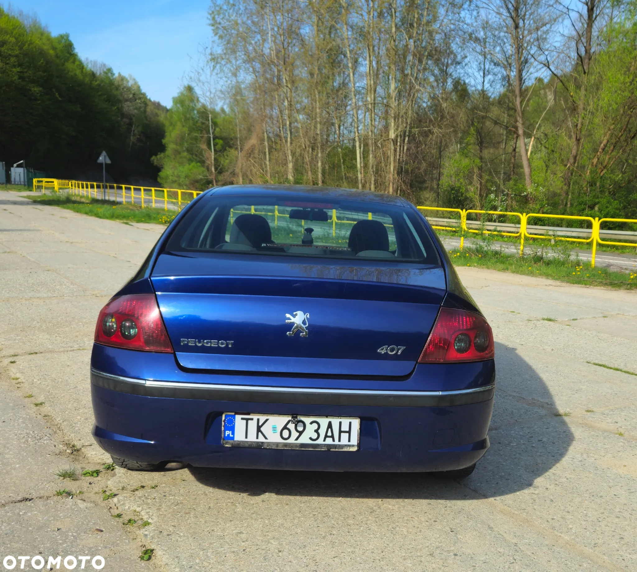 Peugeot 407 2.0 HDI Intense - 23