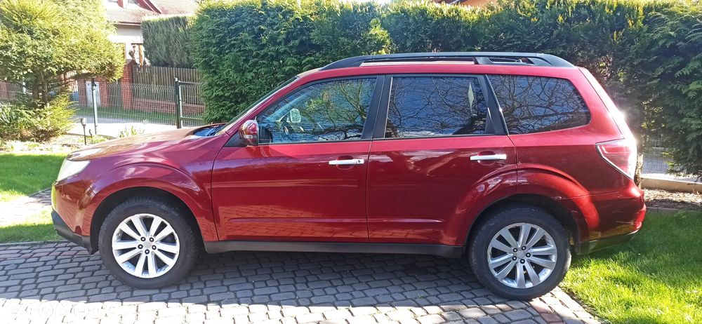 Subaru Forester 2.0 XE NAV Euro5 - 7