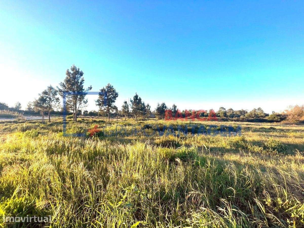 Terreno rustico com 108.500 m2 para loteamento , Pegões, Montijo - Grande imagem: 4/30