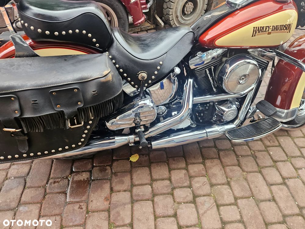 Harley-Davidson Softail - 23