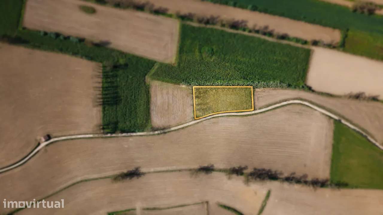Terreno com 1.880 m², localizado em Água de Pau, no concelho da Lagoa - Grande imagem: 5/5