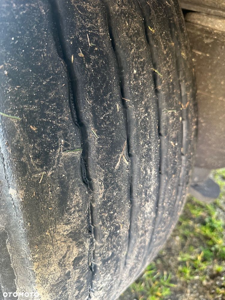 Schmitz Cargobull - 10