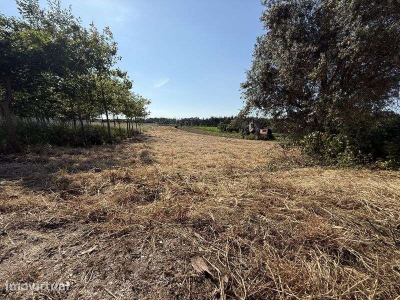 Terreno para construçao - Grande imagem: 3/3