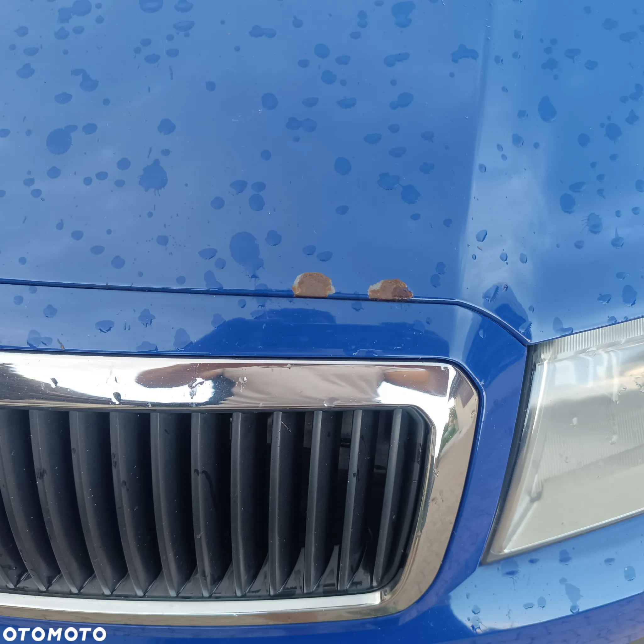 Skoda Fabia 1.4 TDI Mint - 10