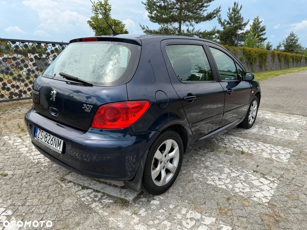 Peugeot 307 HDi 90 Filou - 14