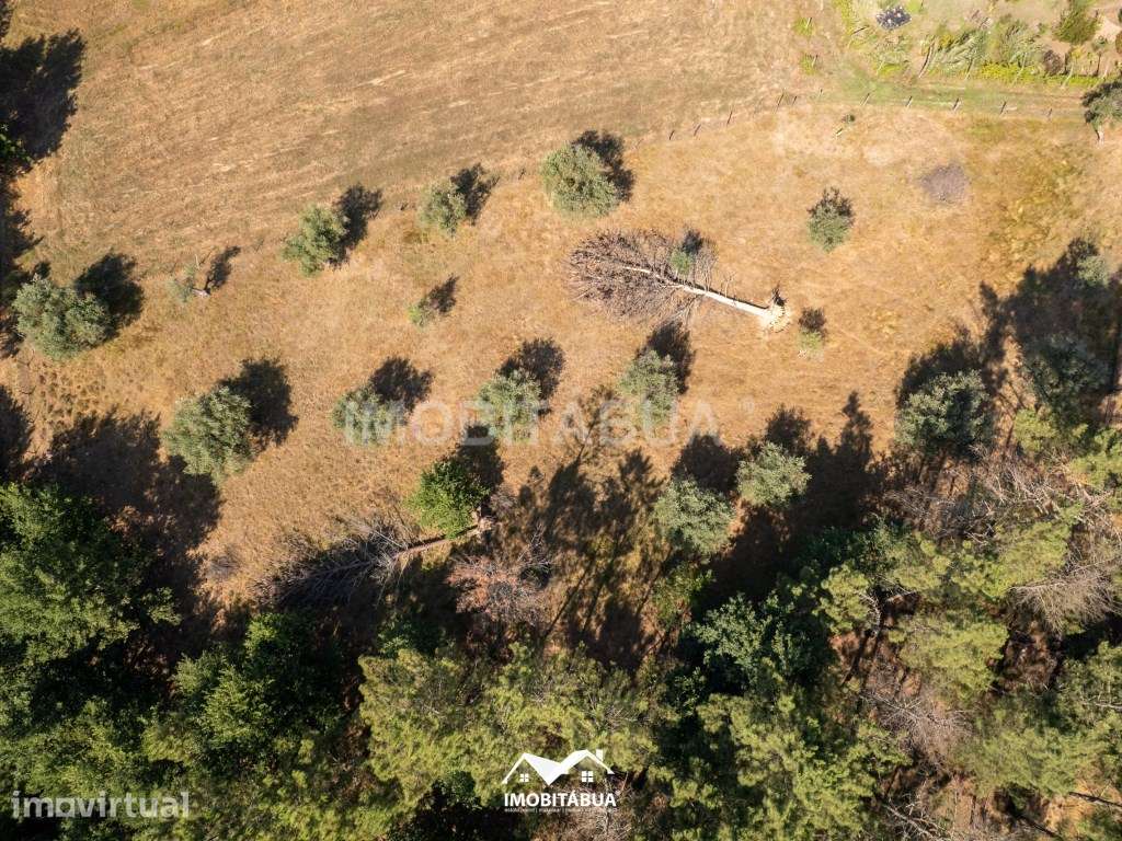 Terreno Rústico com área de 1.850 m2 - Grande imagem: 5/7