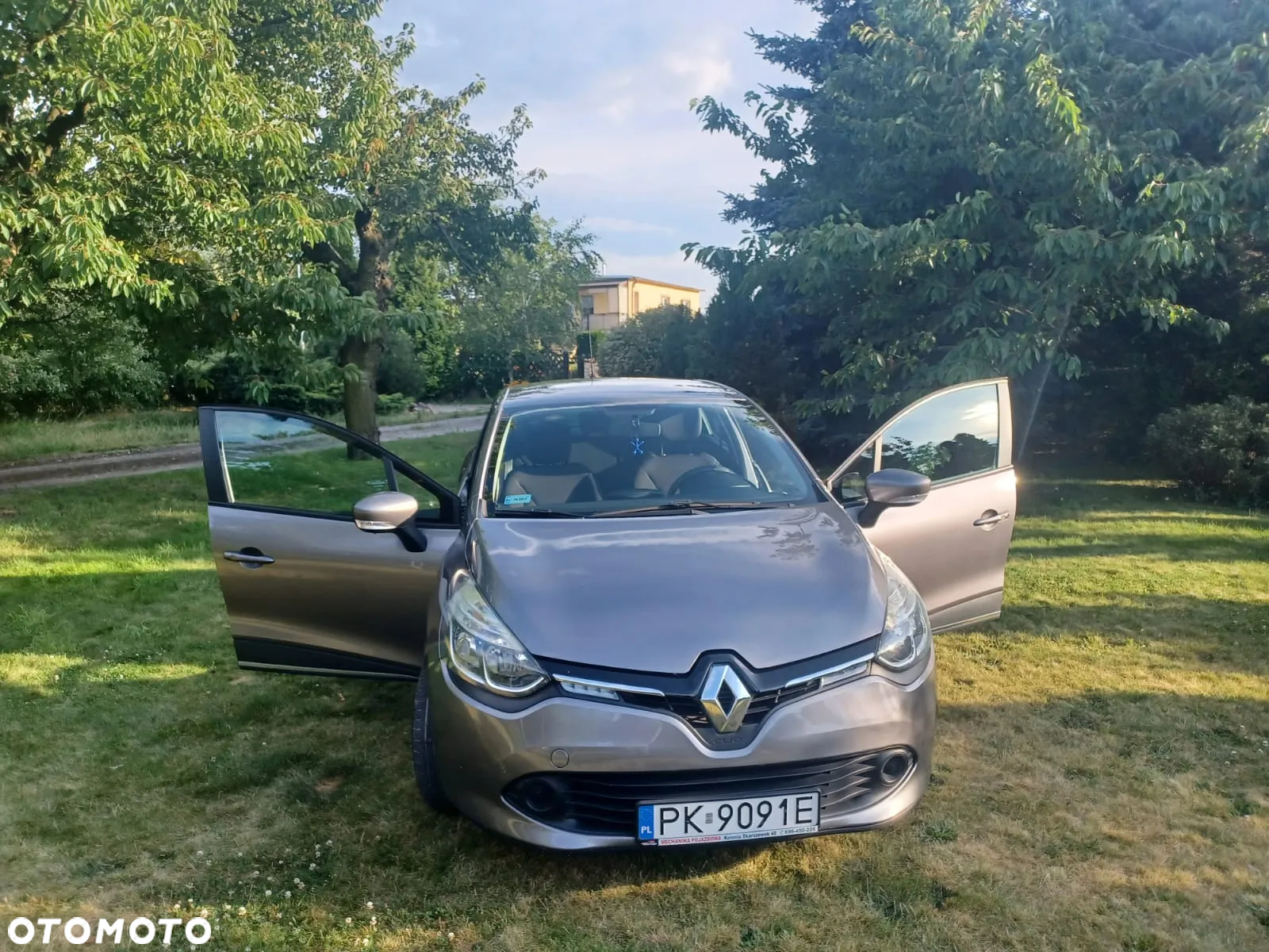 Renault Clio - 7