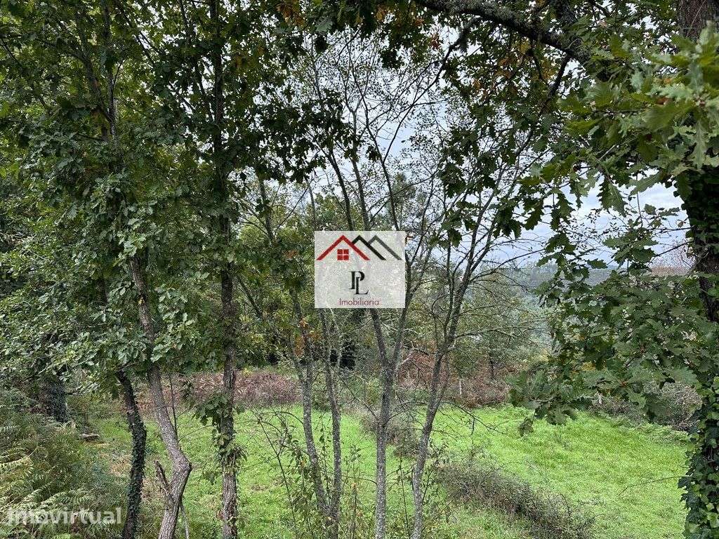 Terreno Misto em Arganil (V812PV) - Grande imagem: 4/5